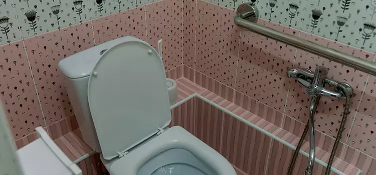 Meeting Diverse Needs With Accessible Restroom Solutions in Lynwood, CA