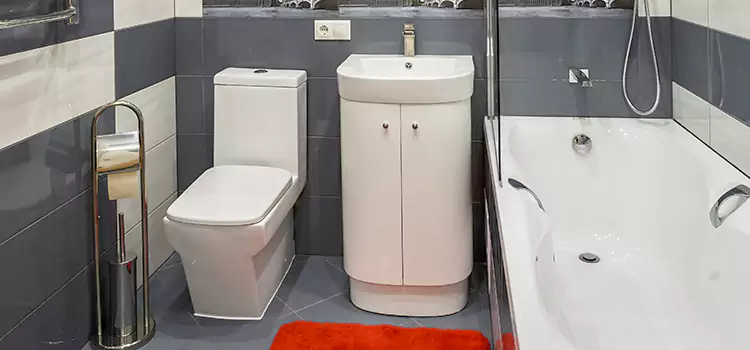 Hansgrohe Shaving Mirror Lynwood